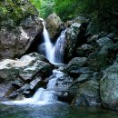 대성우체국 앞 이미지