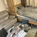 전기 카페트 한일 온열러그 후기 고영님 만족150%