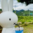 단양 팔각정휴게소
