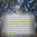 넥서스 | 넥서스 (유발 하라리) 책 후기·추천 리뷰·핵심 요약 <넥서스가 알려준 우주의 인내심>