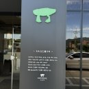 교동짬뽕인동점 | [반려동물동반가능] 강화도 고인돌카페 서울근교 드라이브 나들이 피크닉 주말데이트 반려견동반카페