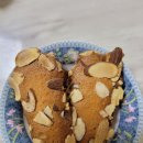 강성은꽃 이미지