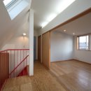 Cat garden 이미지