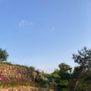 노고지리민박 네이버블로그