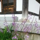 구곡민박 이미지