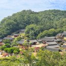 영천서원 | 대구 근교 배롱나무 명소 임고서원 영천 가볼만한곳 추천