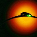 반딧불이 생태학교 이미지