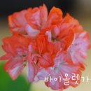 지앤바이