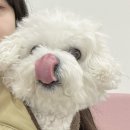 상암 월드컵 컨벤션 투어 후기, 라이벌 DMC 타워 웨딩과의 비교,장단점(계약 ❌)/ 결혼 준비 1-3