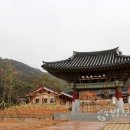 무위사 주차장 이미지