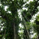 ROAD TO HANA 이미지