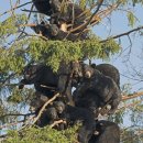 나무PC방 이미지