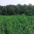 봉암서원(鳳巖書院) 이미지