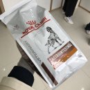 보보스퍼피 이미지