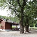 치악산둘레길 8코스 거북바우길 이미지