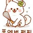 포에버퍼피 네이버블로그