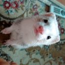 나도나도 이미지