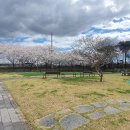 왕가네식당 이미지