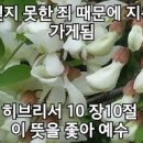 믿음 - 세종특별자치시 보통1길 124 | 믿음