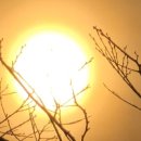 일동농장 이미지