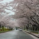 달맞이길 이미지