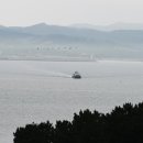 대숲사이 이미지