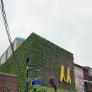 종로-신교-종로-신-130 | 쌈지길카페ㅣ130년 된 한옥 신옛찻집에서 부모님과의 데이트 후기