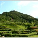 가천다랭이마을 이미지