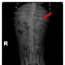 유앤동물병원 이미지