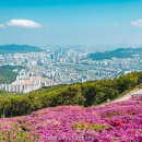 모라백양공원 이미지