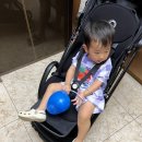 베베꼬모 | 동탄 레이크꼬모 어린이서점 추천 베베코알라 구매