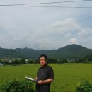 축복태양광발전소 이미지