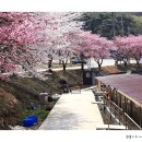 화전소류지 티스토리
