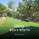 캠핑 애견놀이터 poljjac | 의왕 애견놀이터 추천｜왕송호수 반려견 놀이터 무료 이용 후기