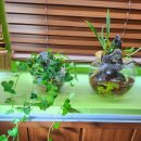 수출대로-14 | 구미궁합 편안한 쉼과 통찰, 구미 목화토금수 철학관 후기