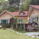 다래와 잣나무 이미지