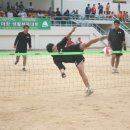 제11회 직장대항 생활체육대회 열려 이미지