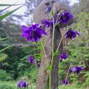 승희농장 이미지