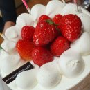 한닢김밥 이미지