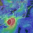 오후 7시 기준 북진하다 북서진으로 방향 바꾼 11호 태풍 힌남노 이미지