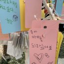 왕궁포레스트 | 익산 왕궁포레스트 아이랑 겨울 방문 후기 실내놀이터까지 완벽