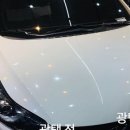 셀세모덕신, 남창점 이미지