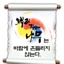 나무를닮은사람들