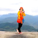 사랑코트 이미지