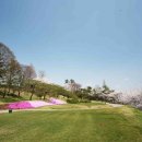 대한싸이로(주) 이미지