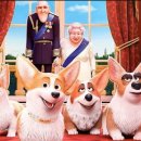 프린스 코기 이미지