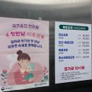 바른체형수기센터안마원 | 울산 체형교정 바른체형교정 마사지센터 전신교정