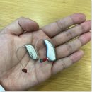 미국스타키독일신한보청기 | 벨톤보청기가격비교 합리성 전문성 모두 갖춘 매장은