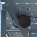 둥지 태양광발전소 이미지