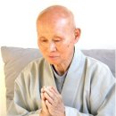 대정선원 Daum카페